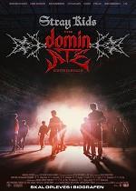 Stray Kids: The dominATE Experience